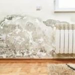 Damaged wall with mold, radiator, and rug in residential space | Chris Wilson Plumbing & Heating Repairs Inc. services.